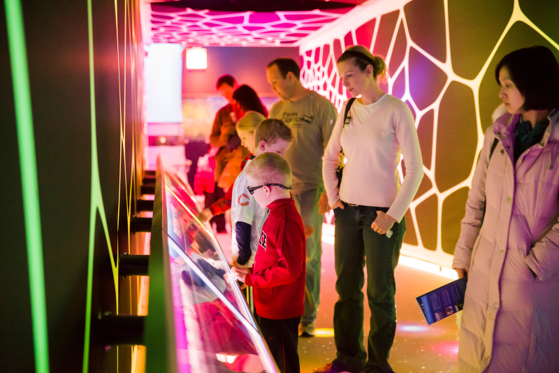 Go City Chicago Essentials Pass: 3 Attractions PcEwYAVN