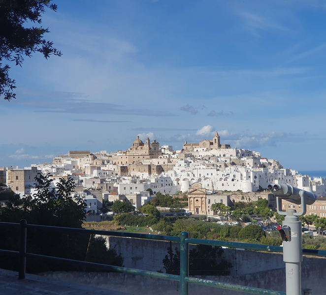 Brindisi: Alberobello, Ostuni Tour for cruise ship passengers zKGCePPV