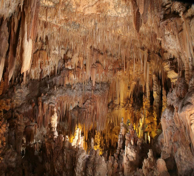 Castellana Grottoes: Official Guided Tour with Entry Ticket 60hTFtyM
