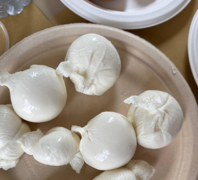 Puglia's best cheeses: Visit a cheese factory and taste local cheeses Qg0ZUYNE