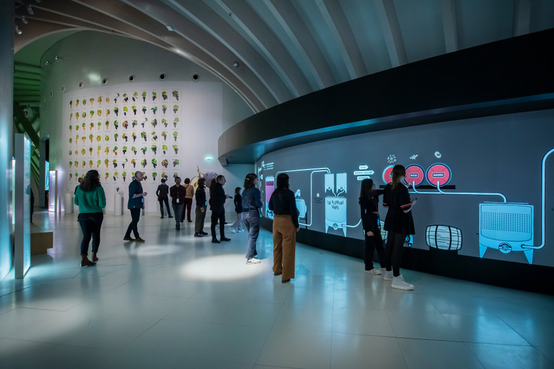 La Cite du Vin: Permanent Exhibition + Belvedere sTikx6PE