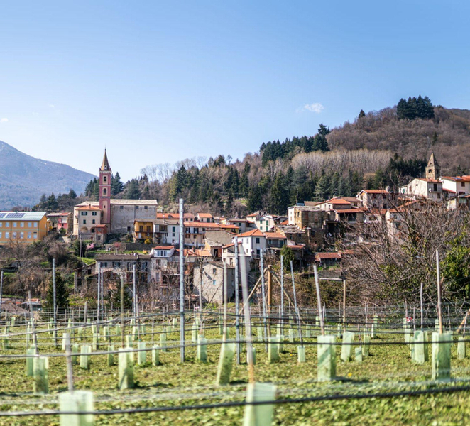 Old Roman Village Tour with Wine & Food Tasting near Imperia f4VAziPg