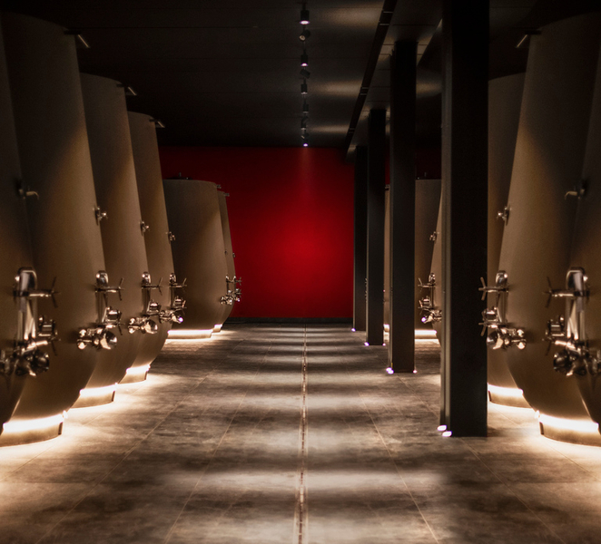 Valpolicella: 1.5-Hour Guided Winery Tour with Wine Tasting T1Fg5JaA