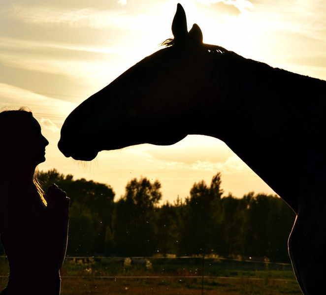 Dorgali: horseback ride for beginners in the Gulf of Orosei uVG4TBo3