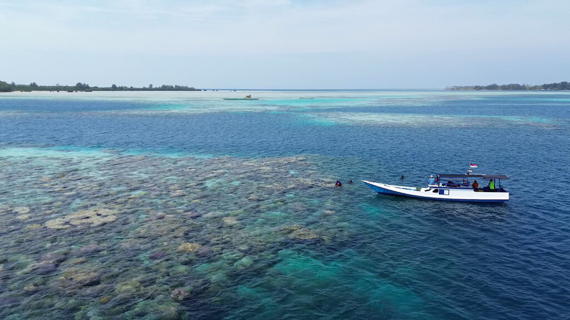 Open Trip Karimunjawa Island 4 Days 3 Nights – Express Bahari Ferry zIqDYSex