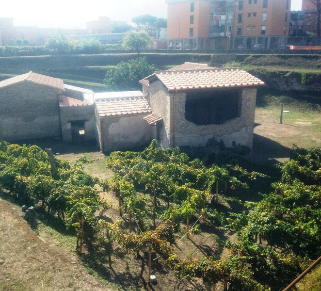 Beyond Pompeii: Villas Tour in Oplontis & Boscoreale biQ4SGOu