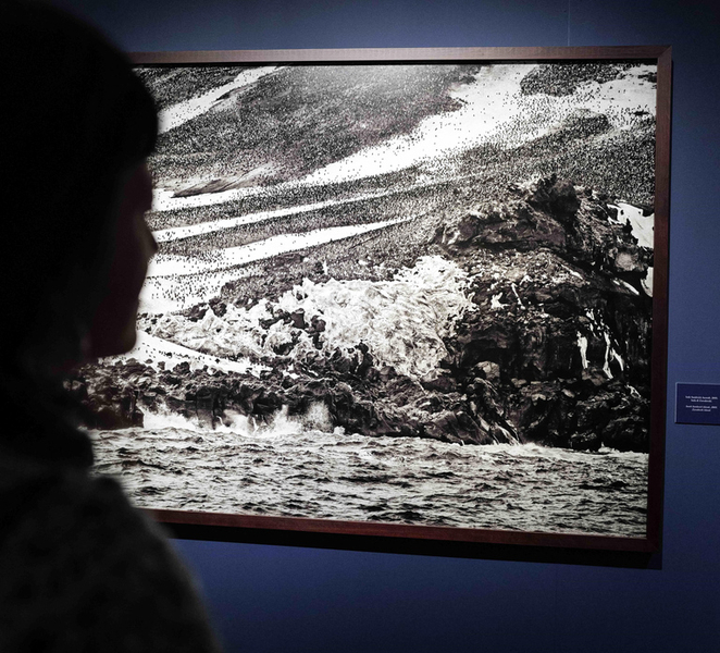 Fortress of Bard Entry and Salgado Exhibition ClcQO1az