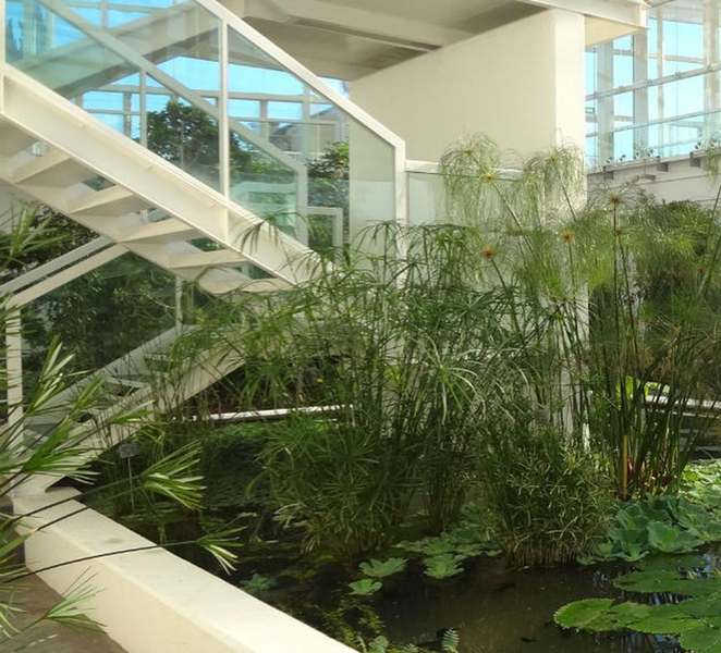 Padua: Botanical Garden admission tickets YLFkazXx