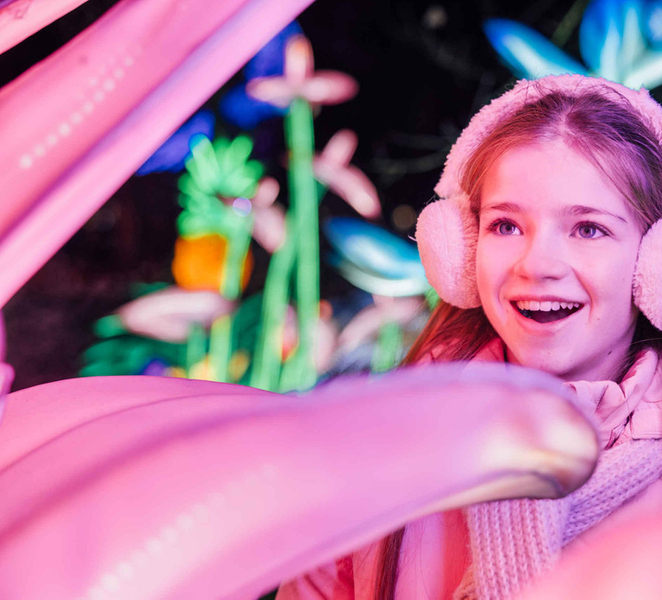Hilvarenbeek: Light Safari at Beekse Bergen l1yfuFDK