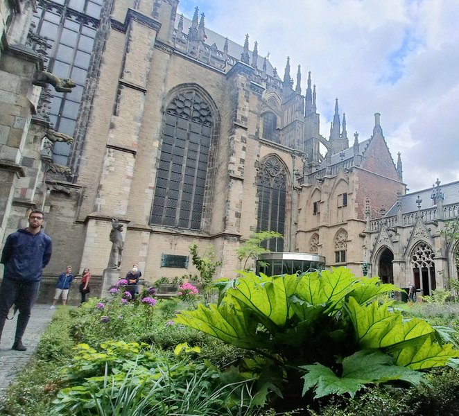 Utrecht: Guided Highlights Walking Tour dWCAN058