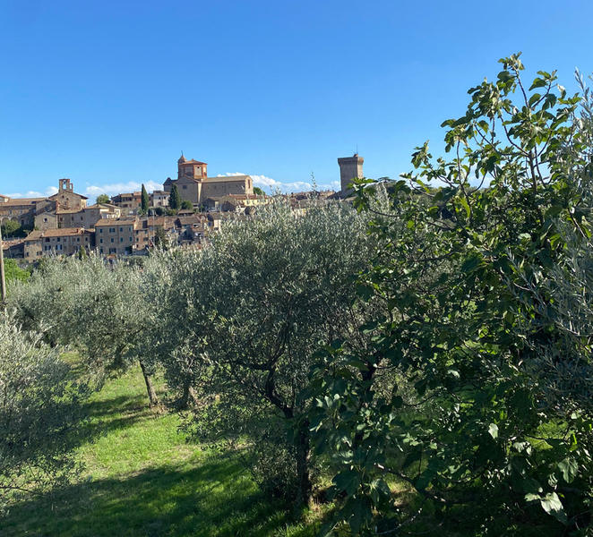 Lucignano: Guided Hike with Fortress Visit tmp6Zsk4