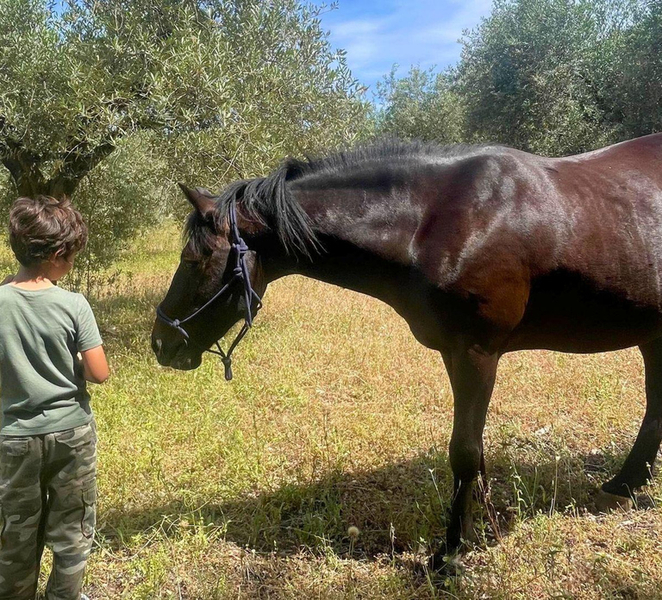 Dorgali: First Horse Riding Experience XMHX12JL