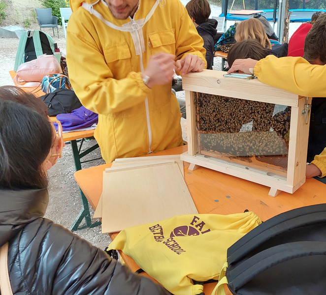 Fano: Guided visit among animals and nature at Vita da Pacos 8ncAVpsD