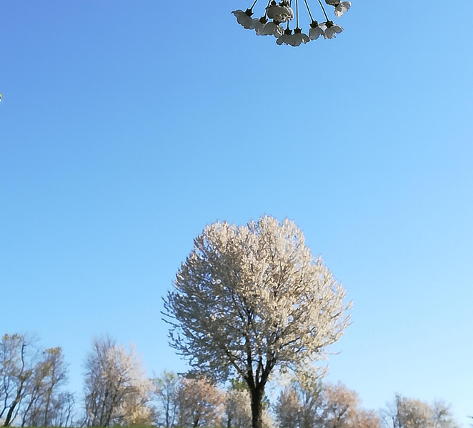 Scenic hike through the Asolo Hills: nature, villages and Veneto landscapes mMEaw9Hf
