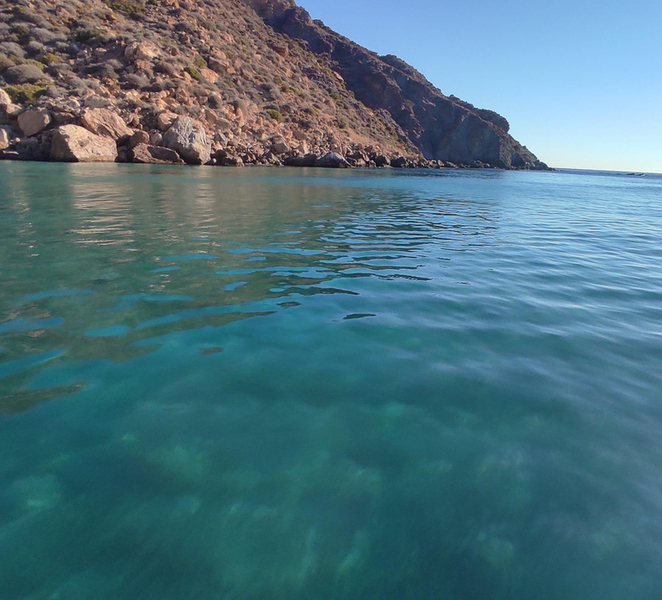 Cartagena: Guided boat route to Isla de las Palomas tcBqzmHG