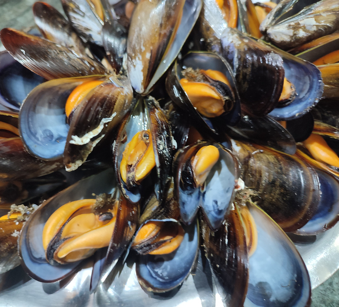 Ría de Arousa: Boat Ride to Mussel Farm with Tasting y9J4Yy9Q