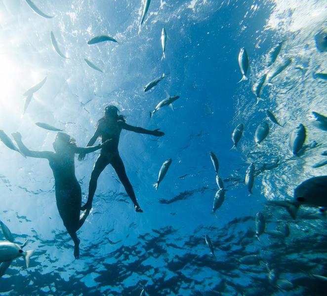Fuerteventura: Lobos Island Ferry + Snorkel from Corralejo o2aRLCOG