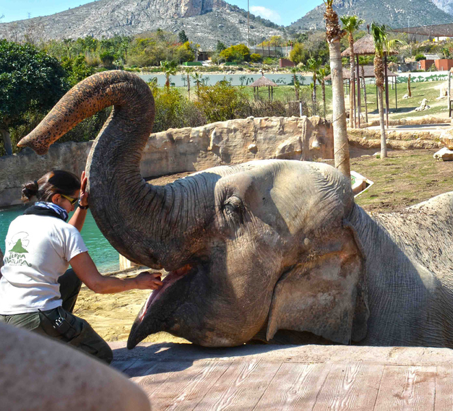 Benidorm: Terra Natura Theme Park 1-Day Tickets OJpDuxi1
