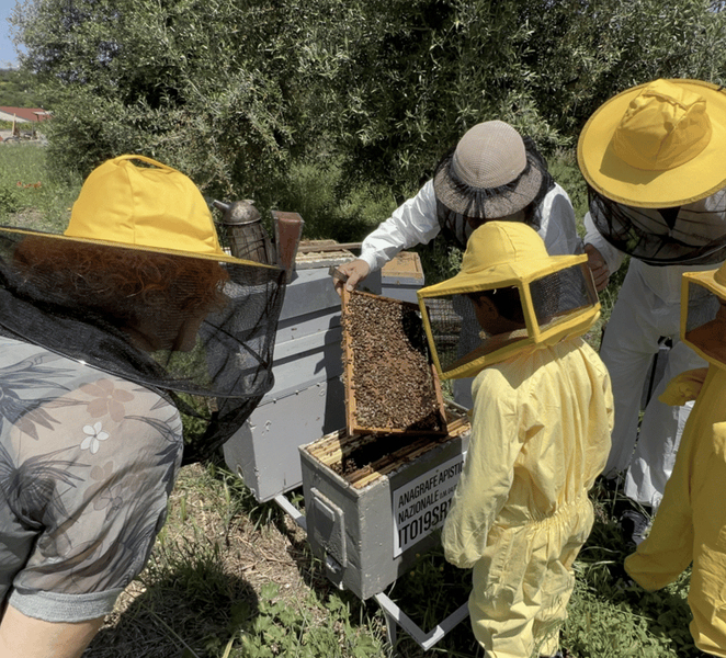 A day among the bees in Sortino LzTMam0z