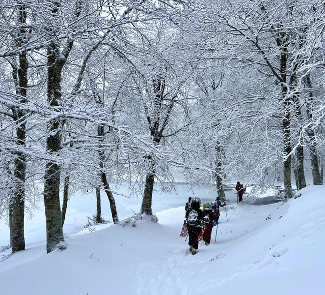 Lake Maulazzo, Nebrodi: Snowshoeing with a private group guide SShzA0HJ