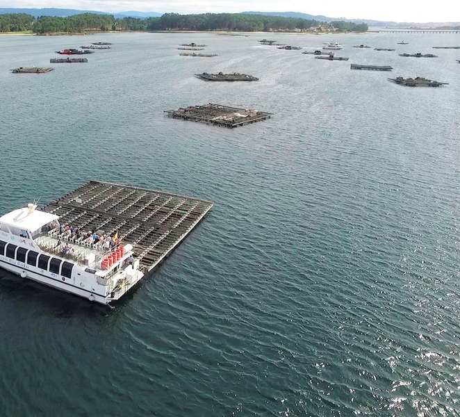 O Grove: Boat Tour with Mussel Tasting and Wine hKuCklTw