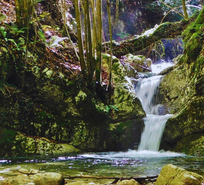 Matese National Park: trekking to Tronco Cavo ctywc8qB