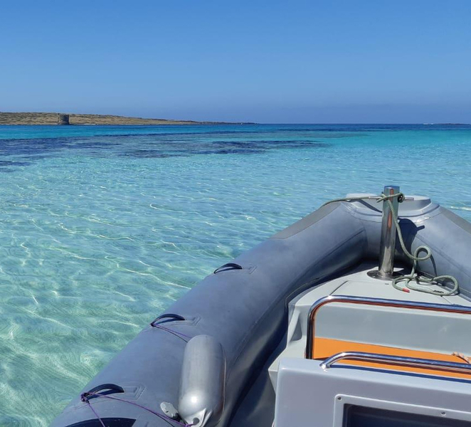 Half-Day Asinara and Pelosa Excursion NYLTcMXh