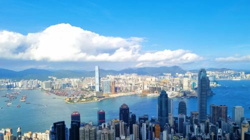 [Private charter with door-to-door service] Half-day tour to Victoria Peak + Ferris wheel + Golden Bauhinia Square in Hong Kong Day Tours 6PZFVI9g