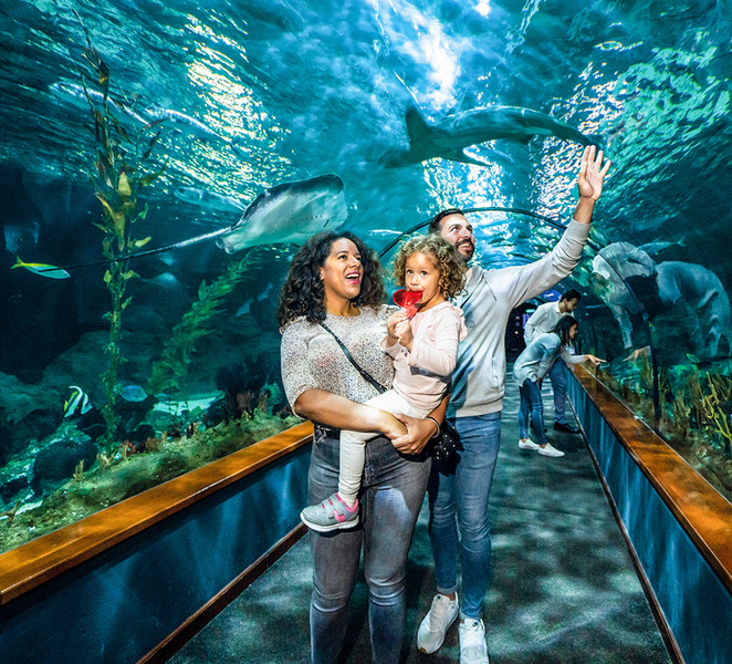 Tenerife: Loro Parque Entry Ticket GQUrxHWH