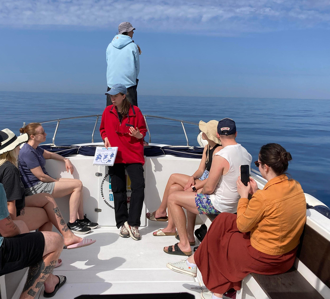 Alghero: Dolphin Watching Tour with Marine Researcher XgHVy1T0