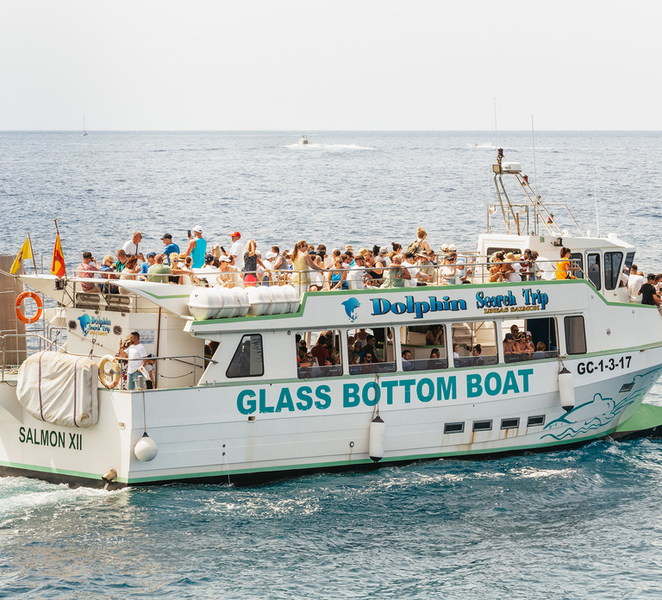 Gran Canaria: Dolphin and Whale Watching Cruise jwHAs8WU
