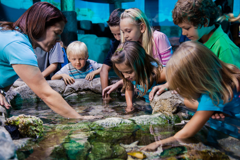 Go City Orlando Essentials Pass: 3 Attractions fvKYIPU3