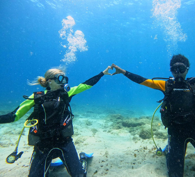 Tenerife: Beginner's Dive at a Spot with Turtle Sightings Cdrd4ifu