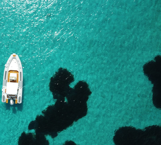 From Stintino: Half-day dinghy tour in Asinara Gulf 01tqzLGe