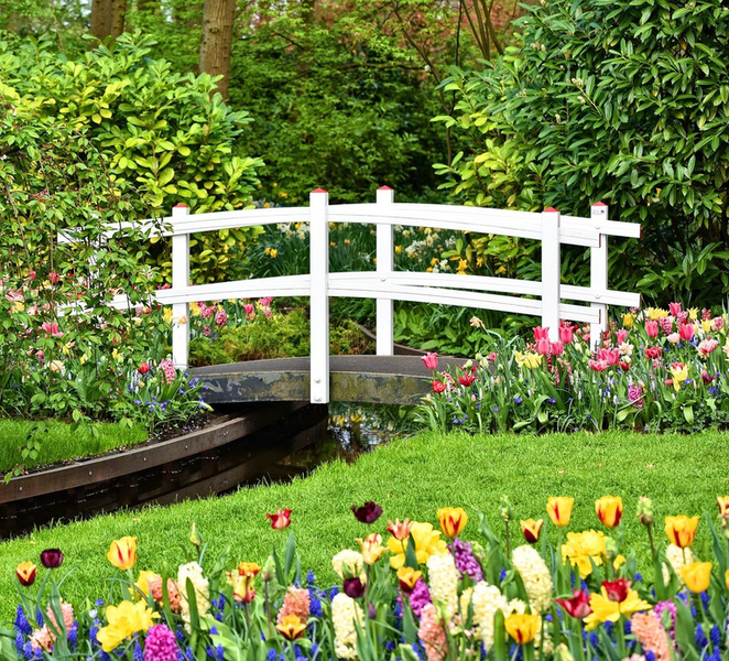 Amsterdam: Keukenhof Gardens Private Sightseeing Tour Yibv8EkD