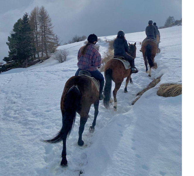 Saint-Pierre - Vetan: Guided horseback ride through the Alpine mountains hlknY1qO