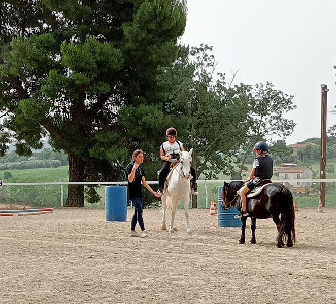 Recanati: Horse riding lessons for kids and adults 2MFA86QL