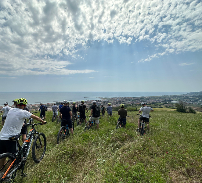 Torre di Palme: E-Bike Tour with Guide OjamGqYt