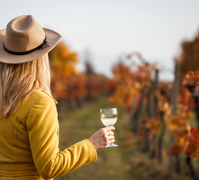 From Bologna: Autumn Wine Experience & Tasting by the Fireplace jZ3yYuAJ