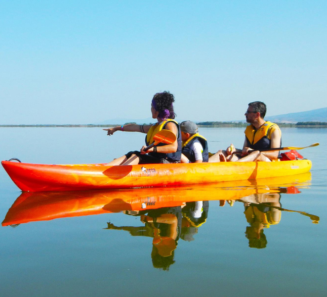 Cabras Lagoons: Kayaking and Birdwatching snI52zlj