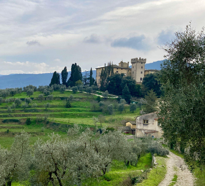 San Donato in Collina: Excursion from Torre a Cona to the Einsteins' Villa g6eoiexw