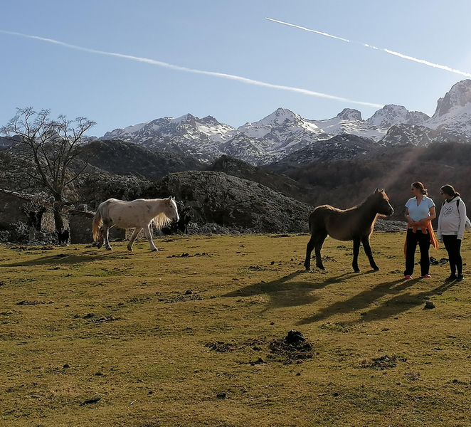 Lakes of Covadonga and Sanctuary of Covadonga: Guided and narrated route MRhTG7uR
