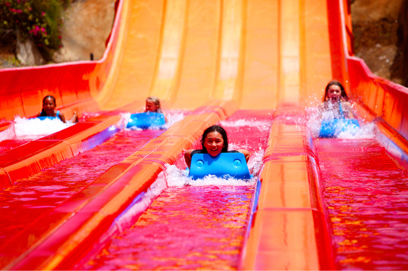 Go City Oahu Essentials Pass: 3 Attractions GIovitet