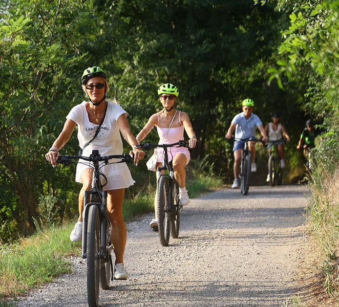 Desenzano del Garda: Guided E-Bike Tour with Castle Views 9QFxTdaI