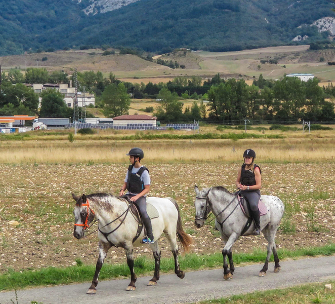 Zaragoza: Explore the Countryside on Horseback VKeukw8a