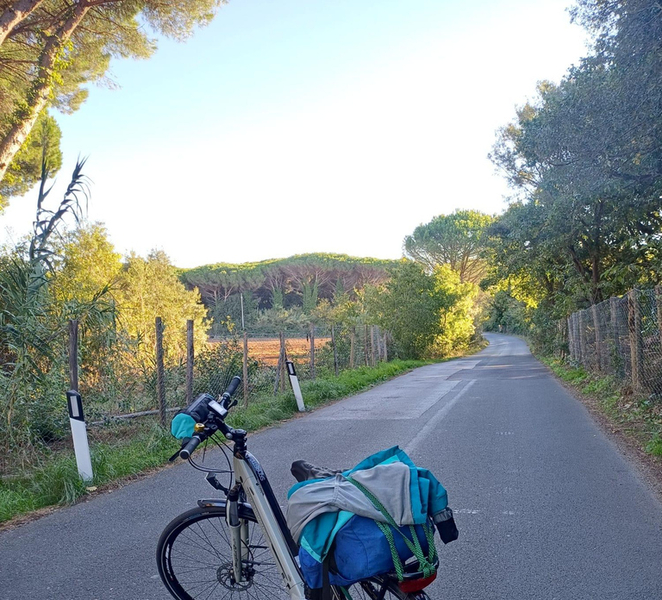 Venturina: Tuscany by E-Bike - Medieval villages, wine, and relaxation at the spa yPunvB1V