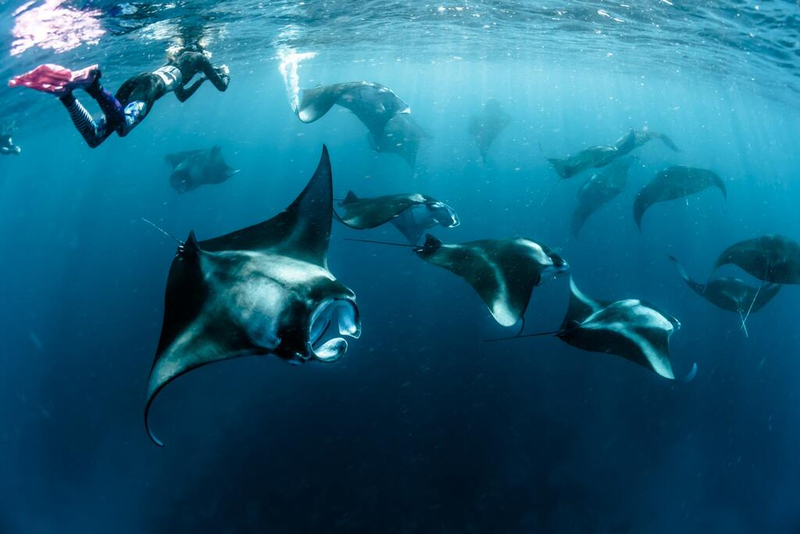 Private Trip Derawan 4 Days 3 Nights – via Tanjung Batu nHOYSrCL