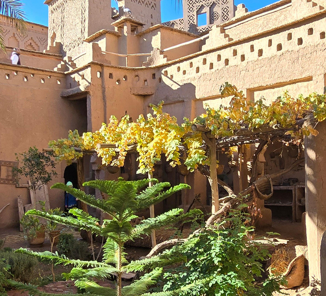 Skoura Oasis : Kasbah Amridil Guided Tour & Ticket PQ5rZ14U