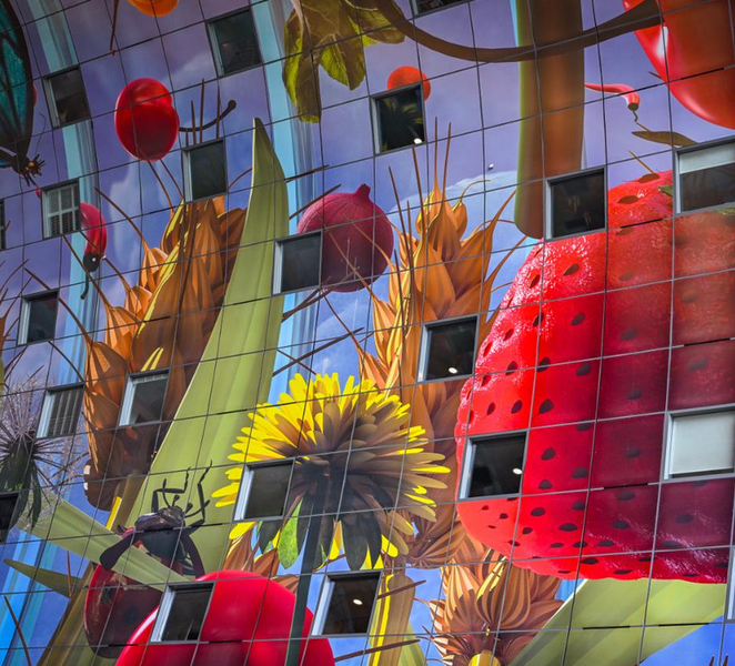 Rotterdam Walk: Hilights, Gems, Architecture & WWII 2 or 3hr qyn0PCbv