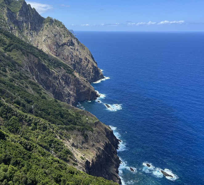 Madeira: Vereda do Larano Guided Hike with Views 0pGQyunL
